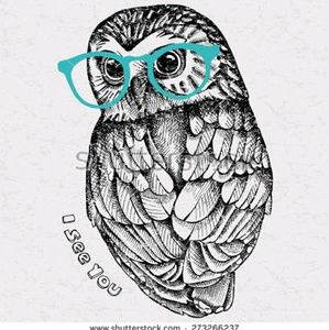 Meet your Posher, Diana